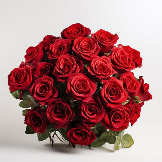 Červená růže 70cm - Černá Růže 
