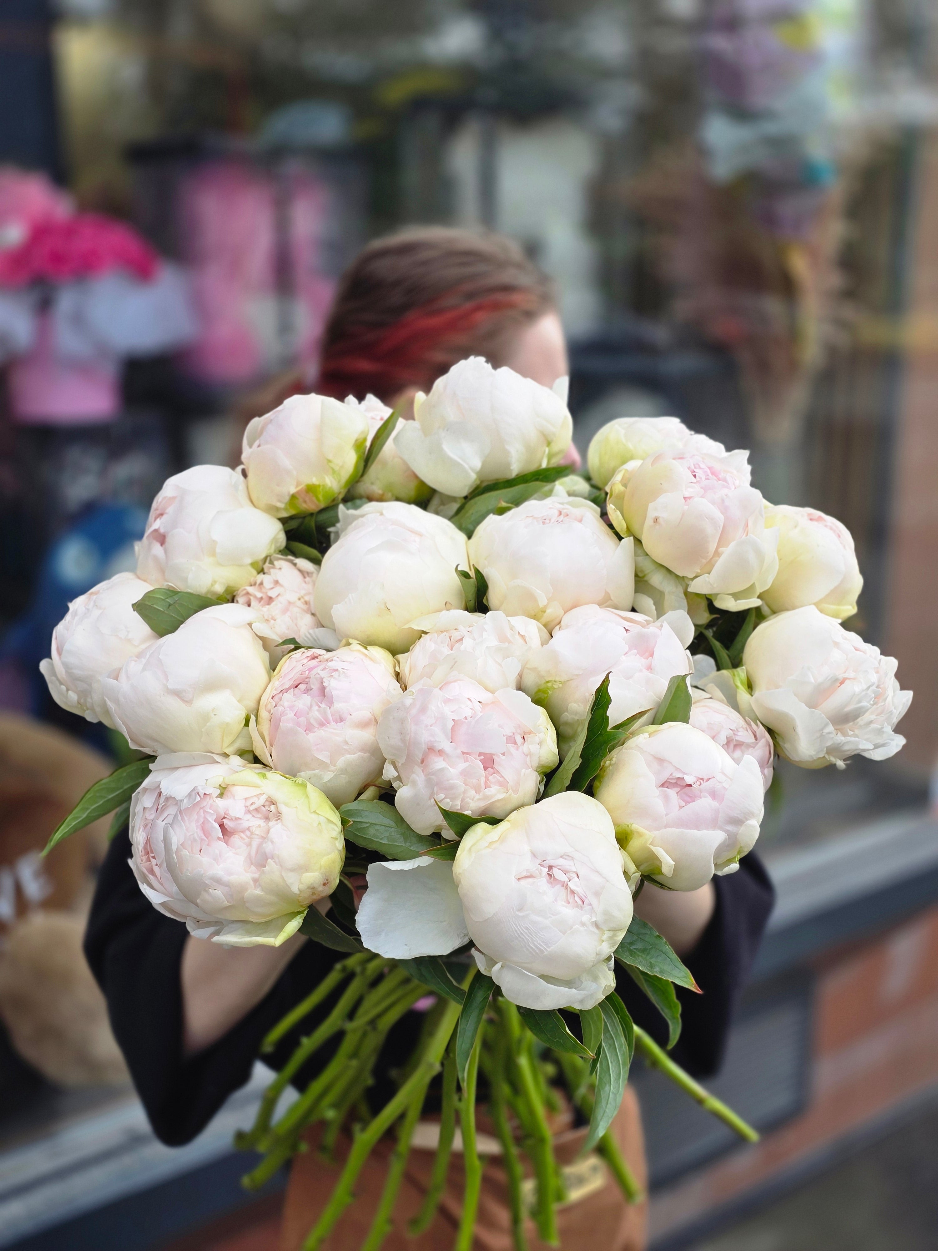 Pink peony