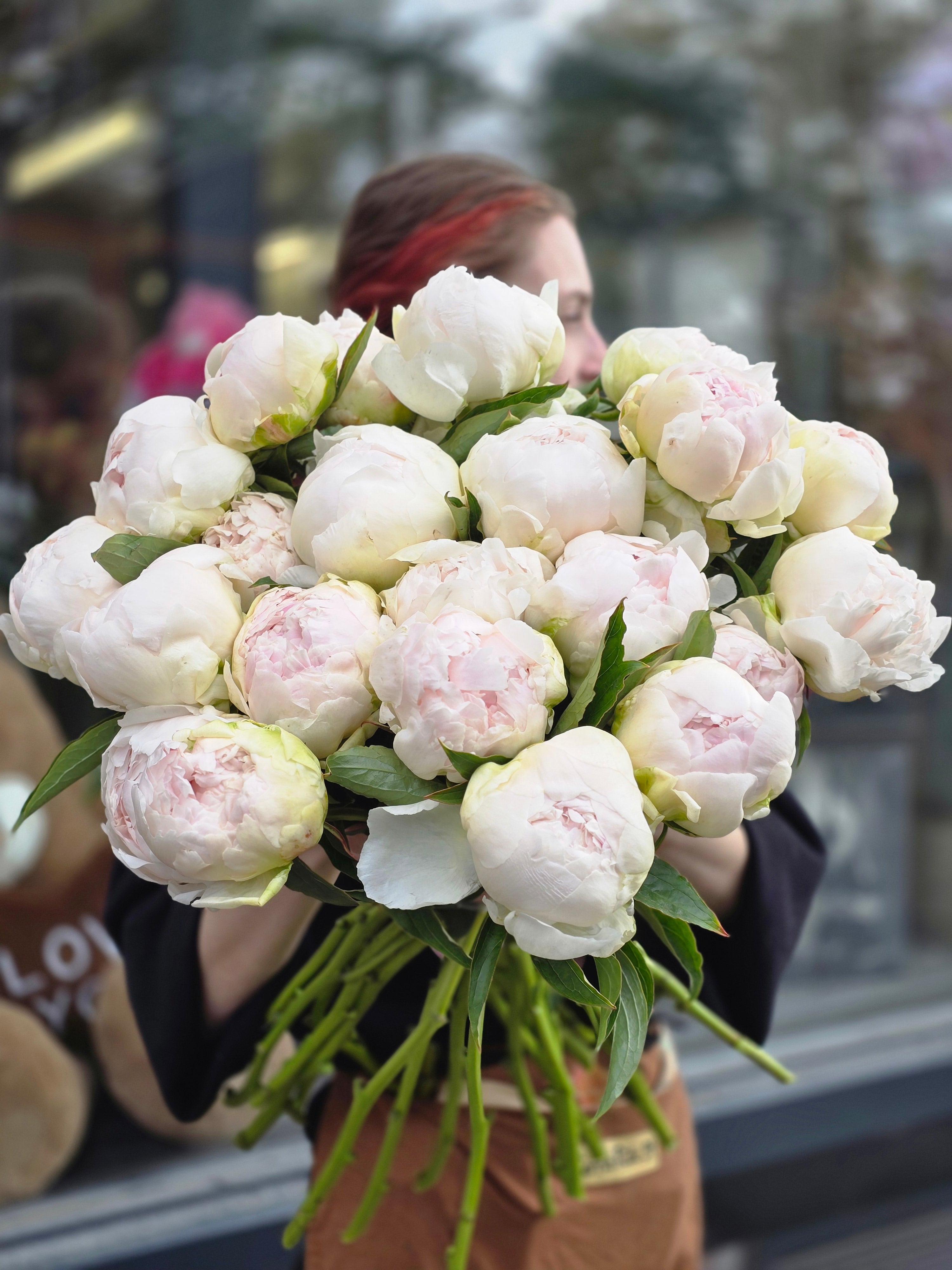 Pink peony